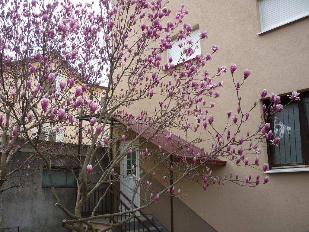 Međugorje Guest House Ok מראה חיצוני תמונה